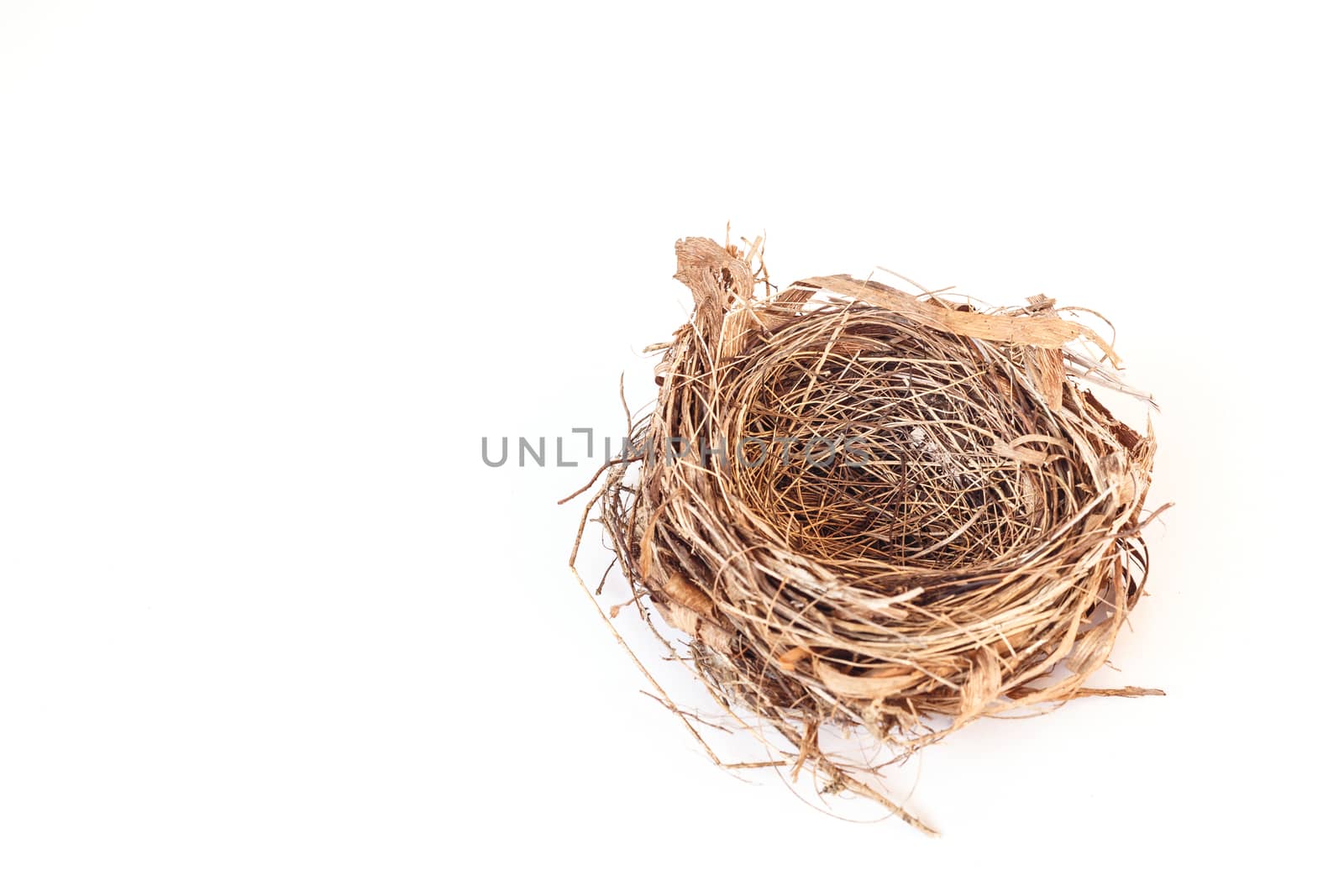 Empty bird nest isolated on white