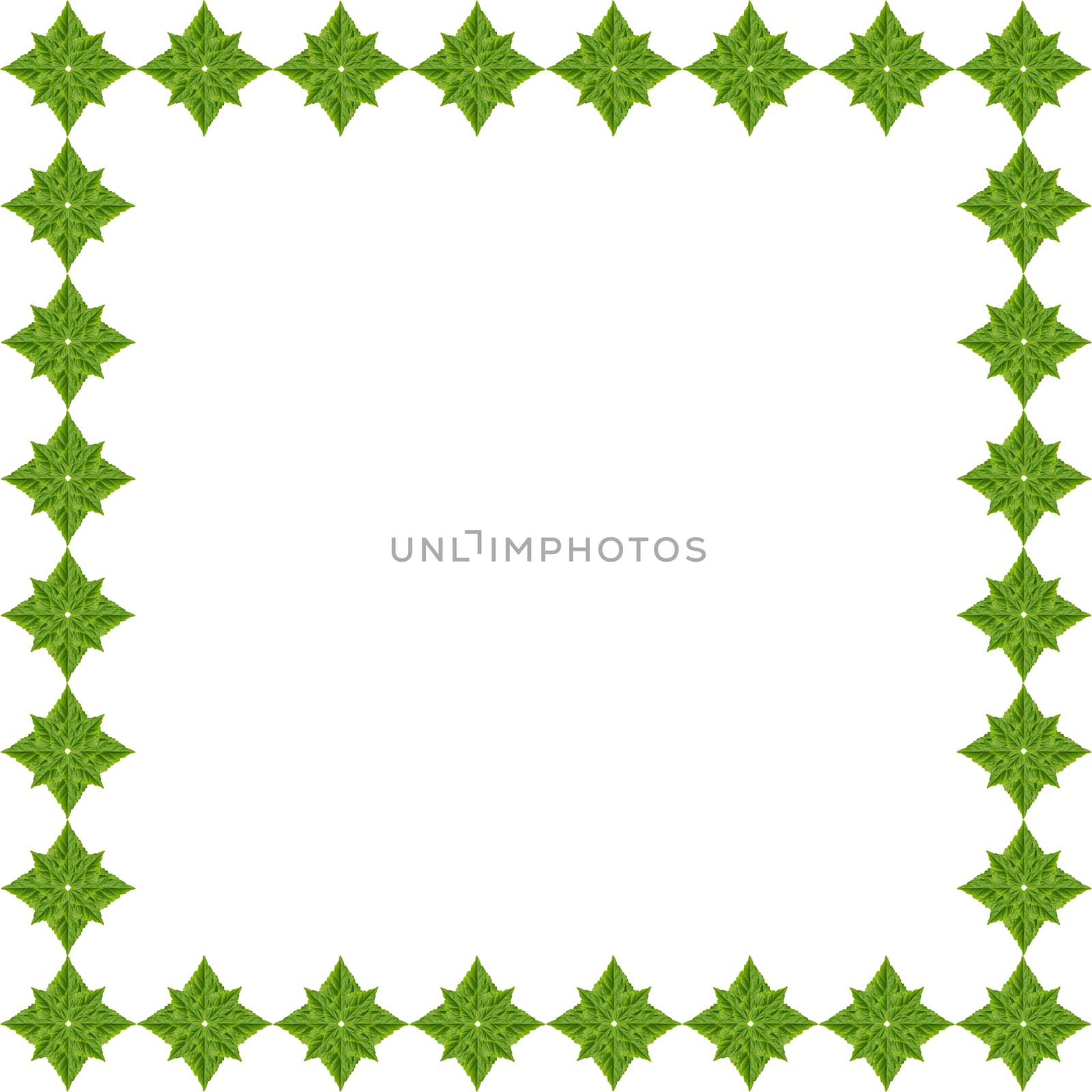 Abstract of green leaf isolated on white background