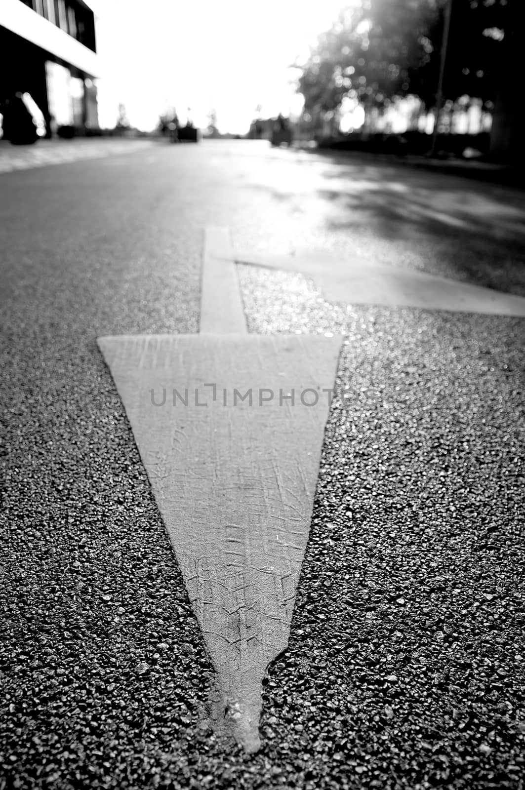 Arrow sign on the road by anderm
