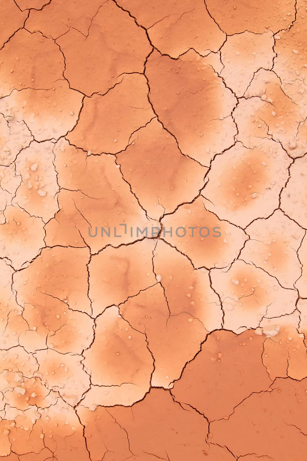 Background of drought