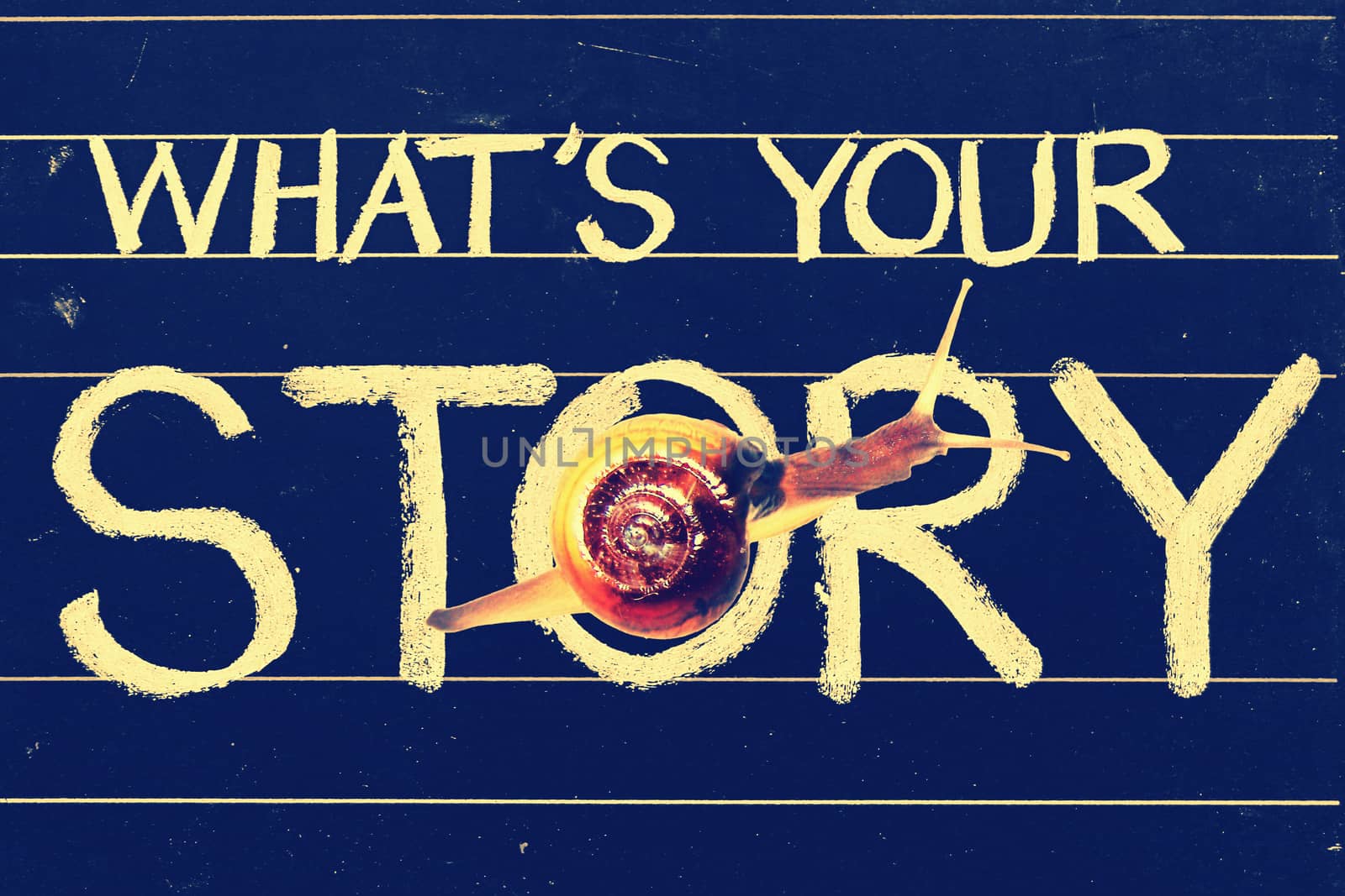 Snail on blackboard written what���s your story question