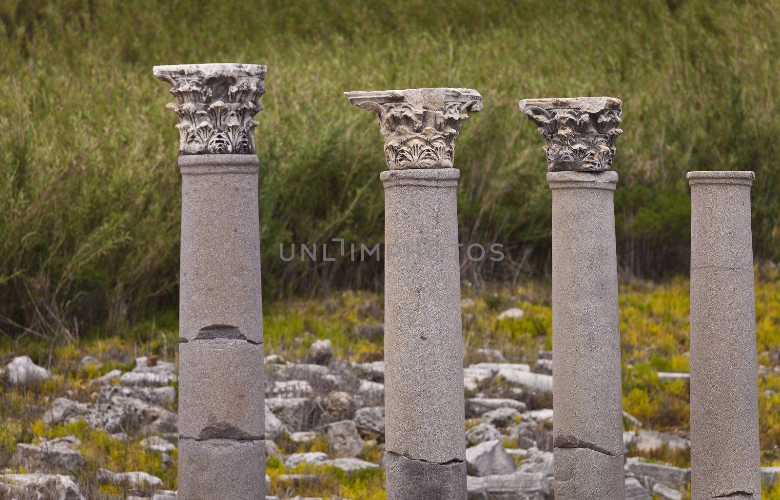 Classic Corinthian style columns at Perga in Turkey