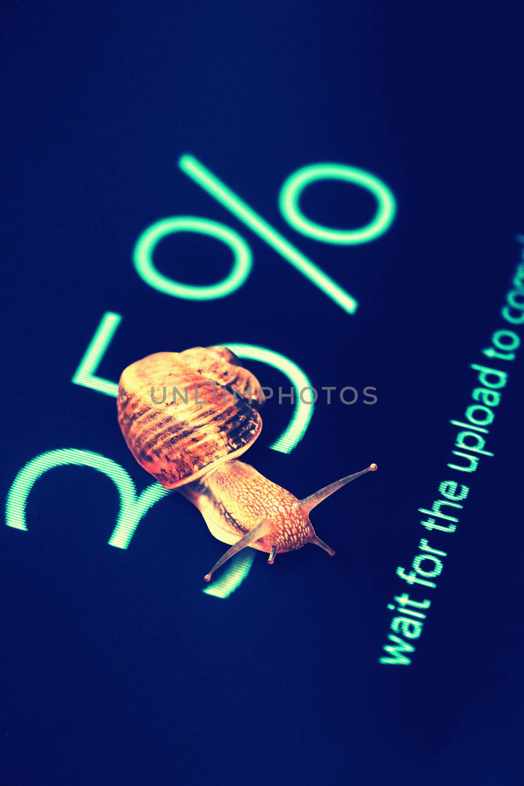 Snail on computer screen 35% data completed by yands