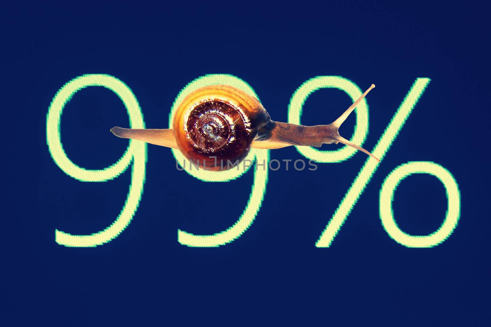Snail on a board, 99 percentage discount by yands