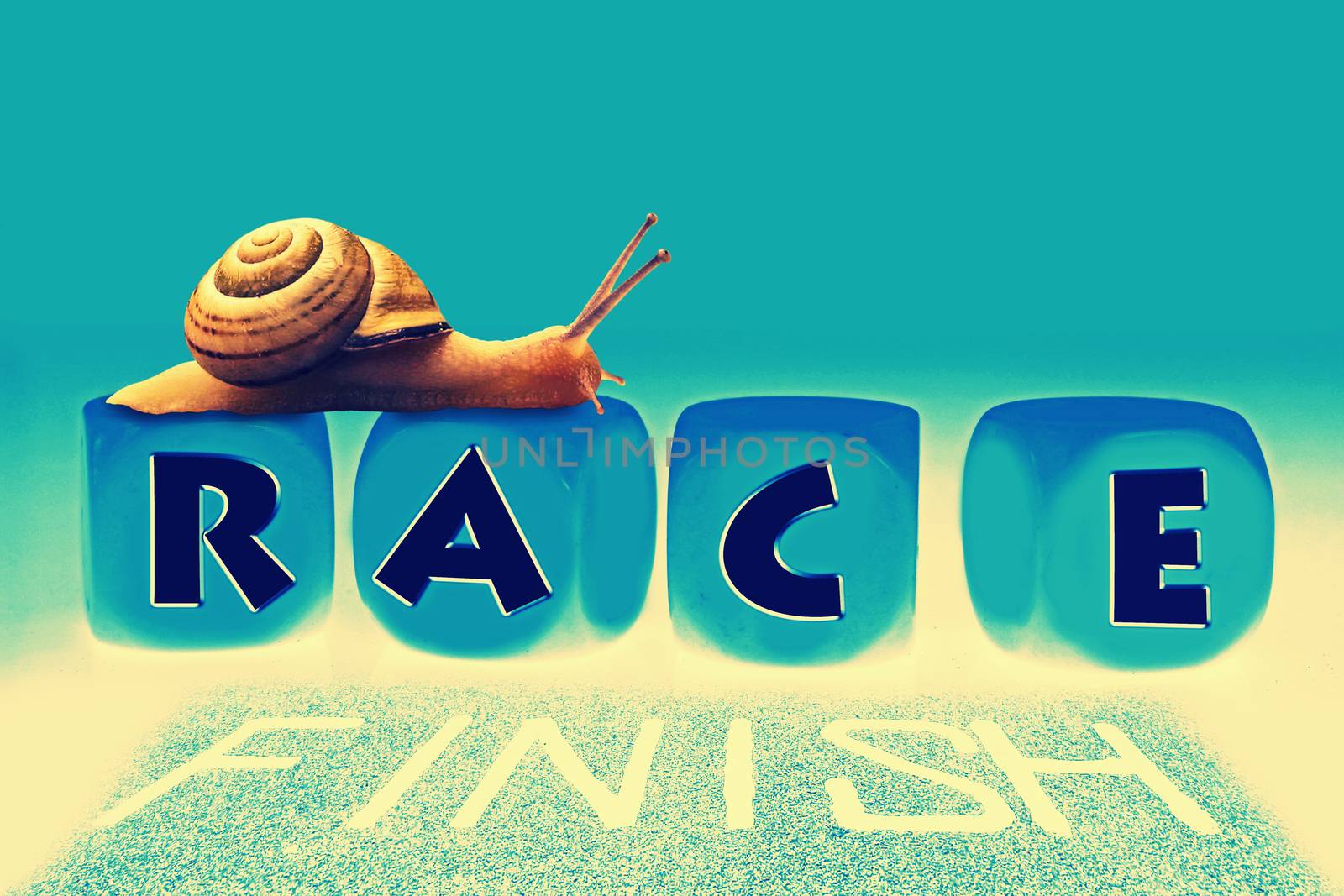 Snail Race, Concept