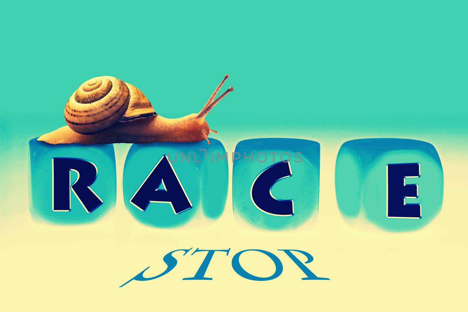 Snail Race, Concept