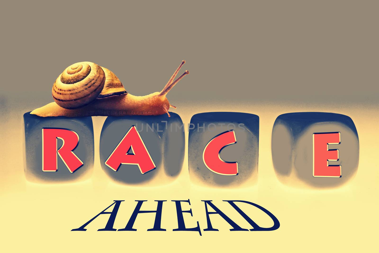 Snail Race, Concept