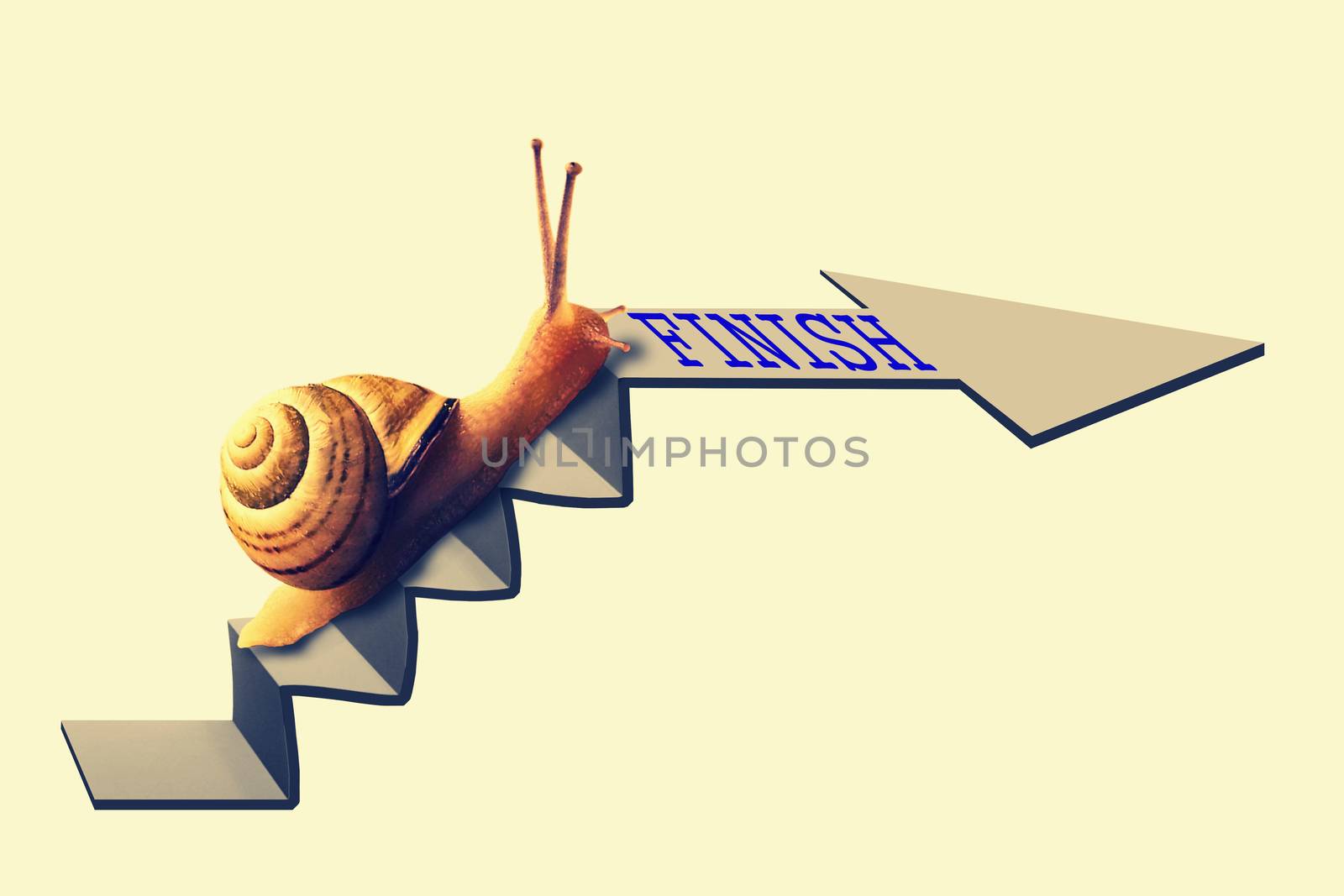Snail on Staircase by yands