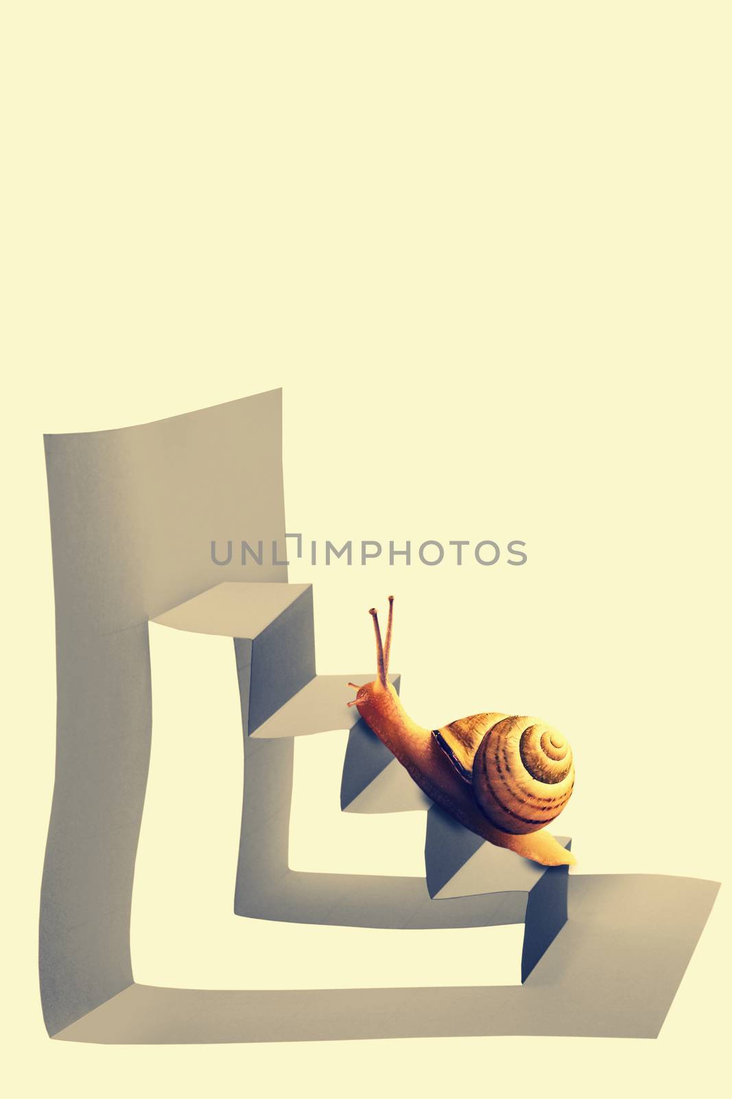 Snail on Staircase