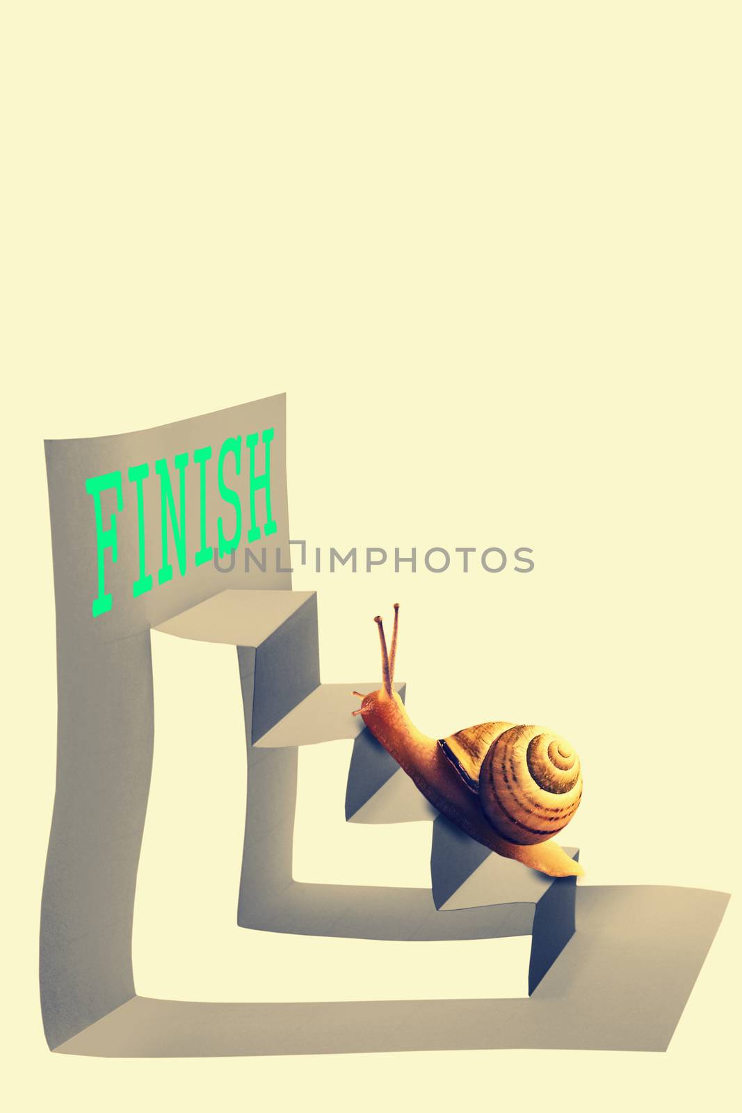 Snail on Staircase by yands