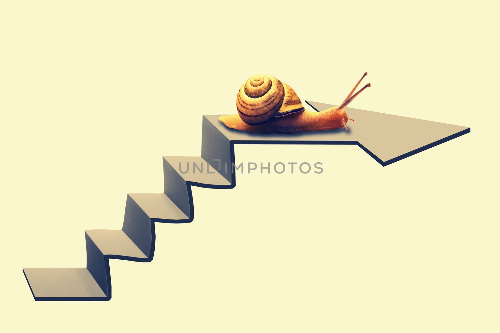 Snail on Staircase by yands