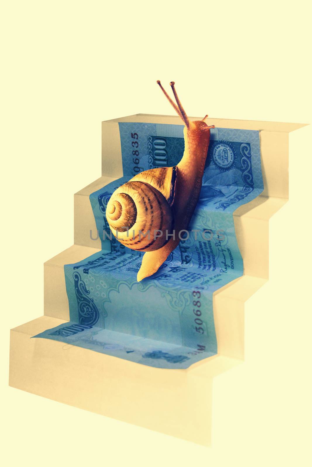 Snail on Staircase