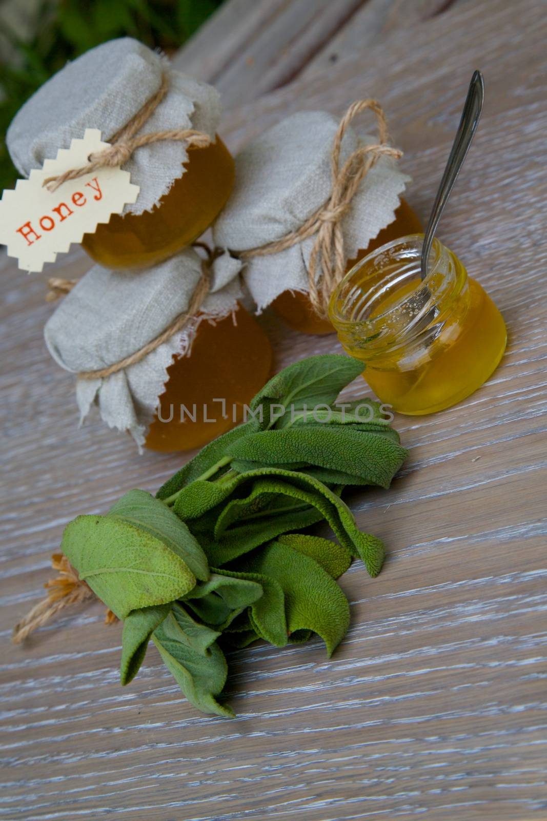 Sage honey and fresh leaves of garden sage on the wooden surface