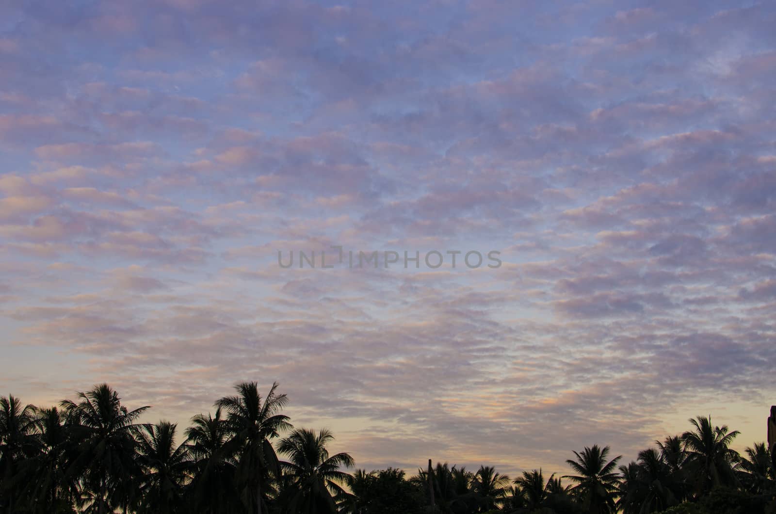 Nice cloud with sunrise background