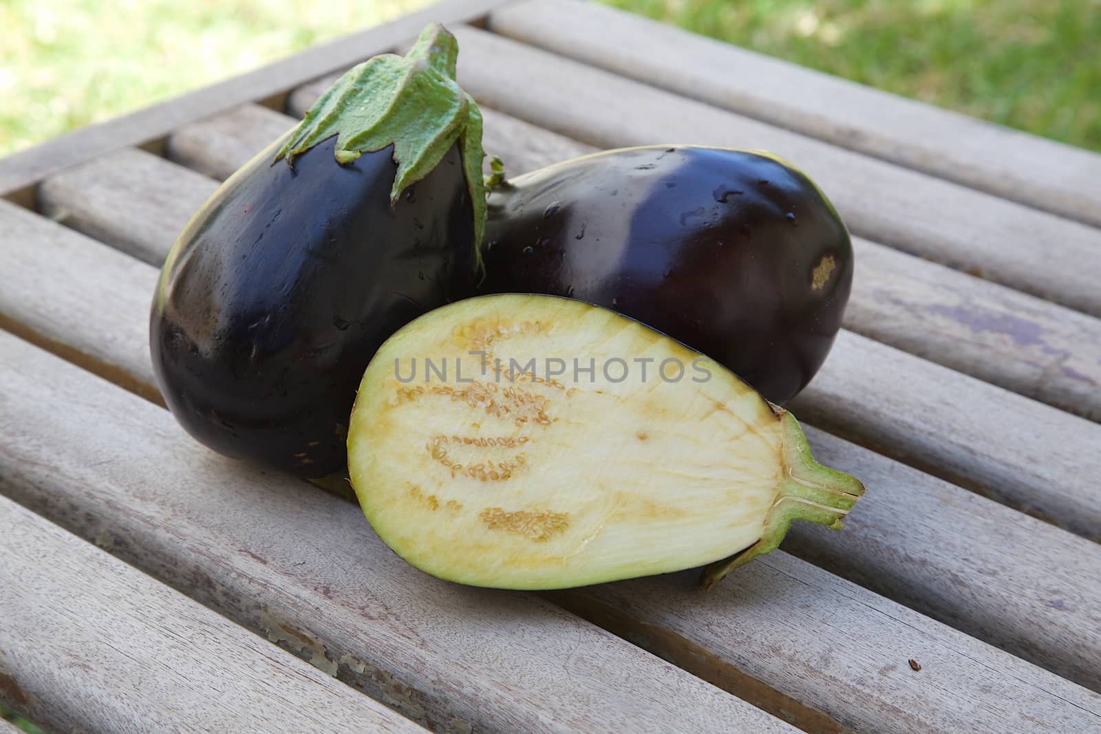 Two and one half eggplants by tolikoff_photography