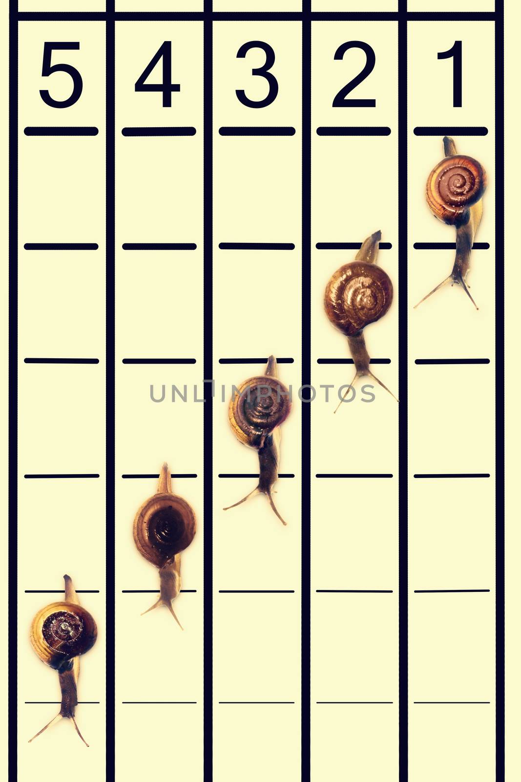 Snails running on track by yands