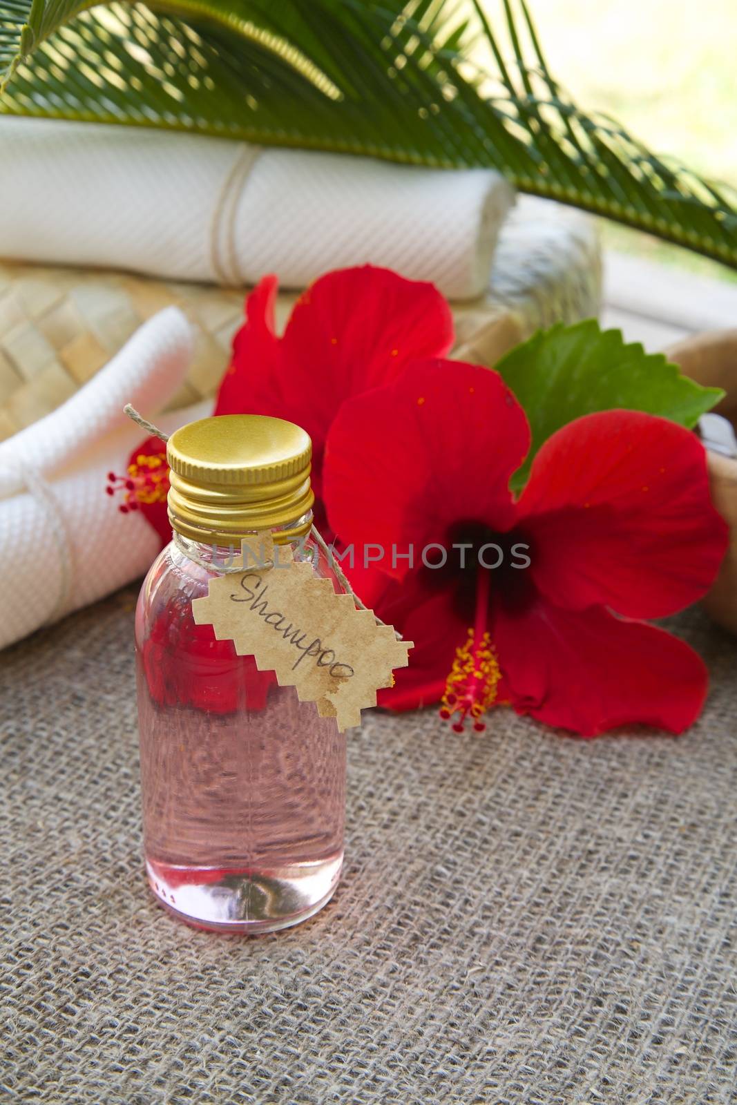 Hibiscus essential oil by tolikoff_photography