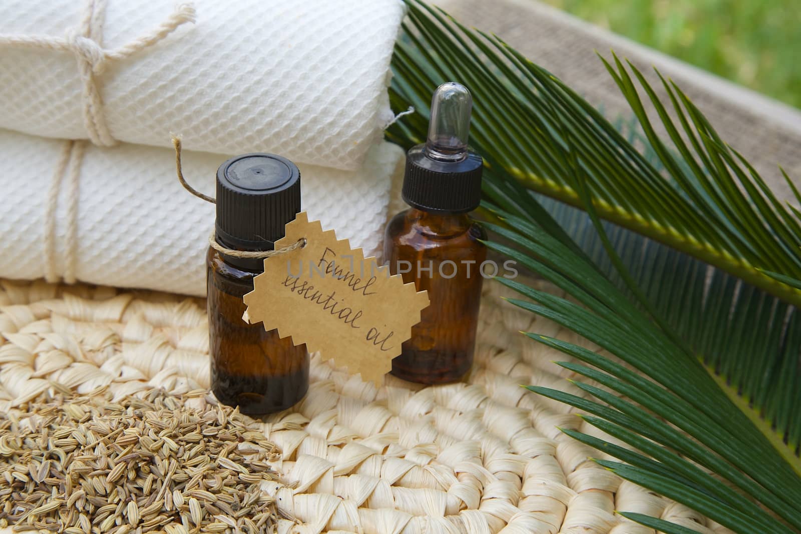Fennel essential oil by tolikoff_photography