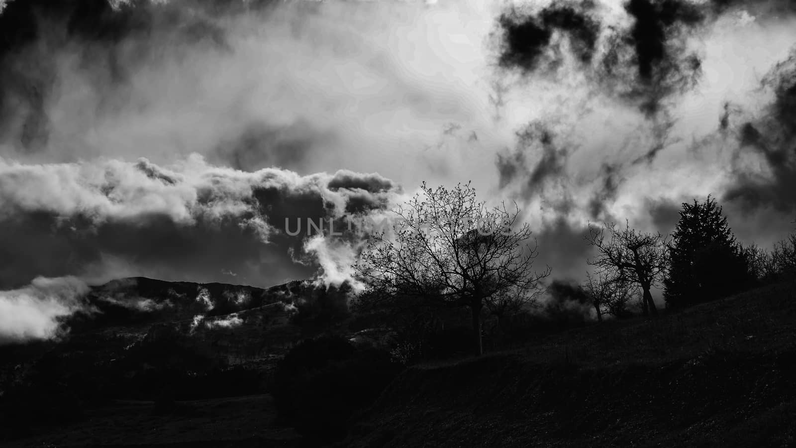 Winter BW photo of cloudy dramatic sky with trees by ankarb