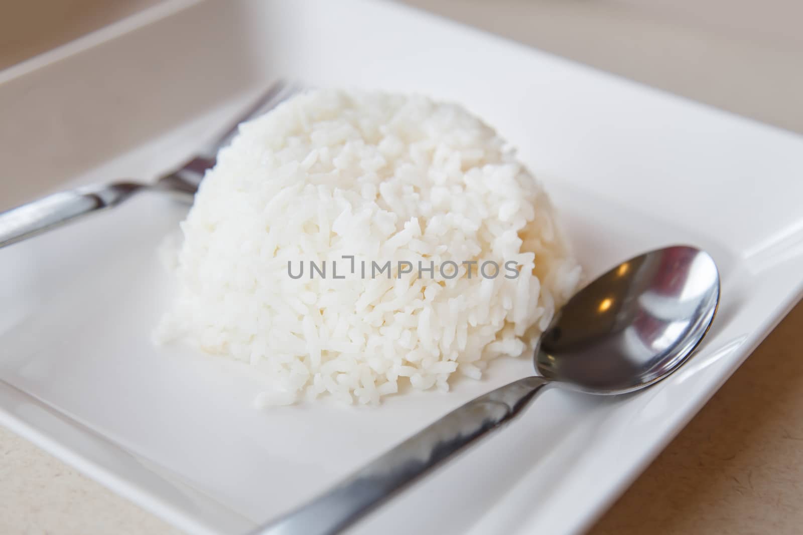 Rice in white dish