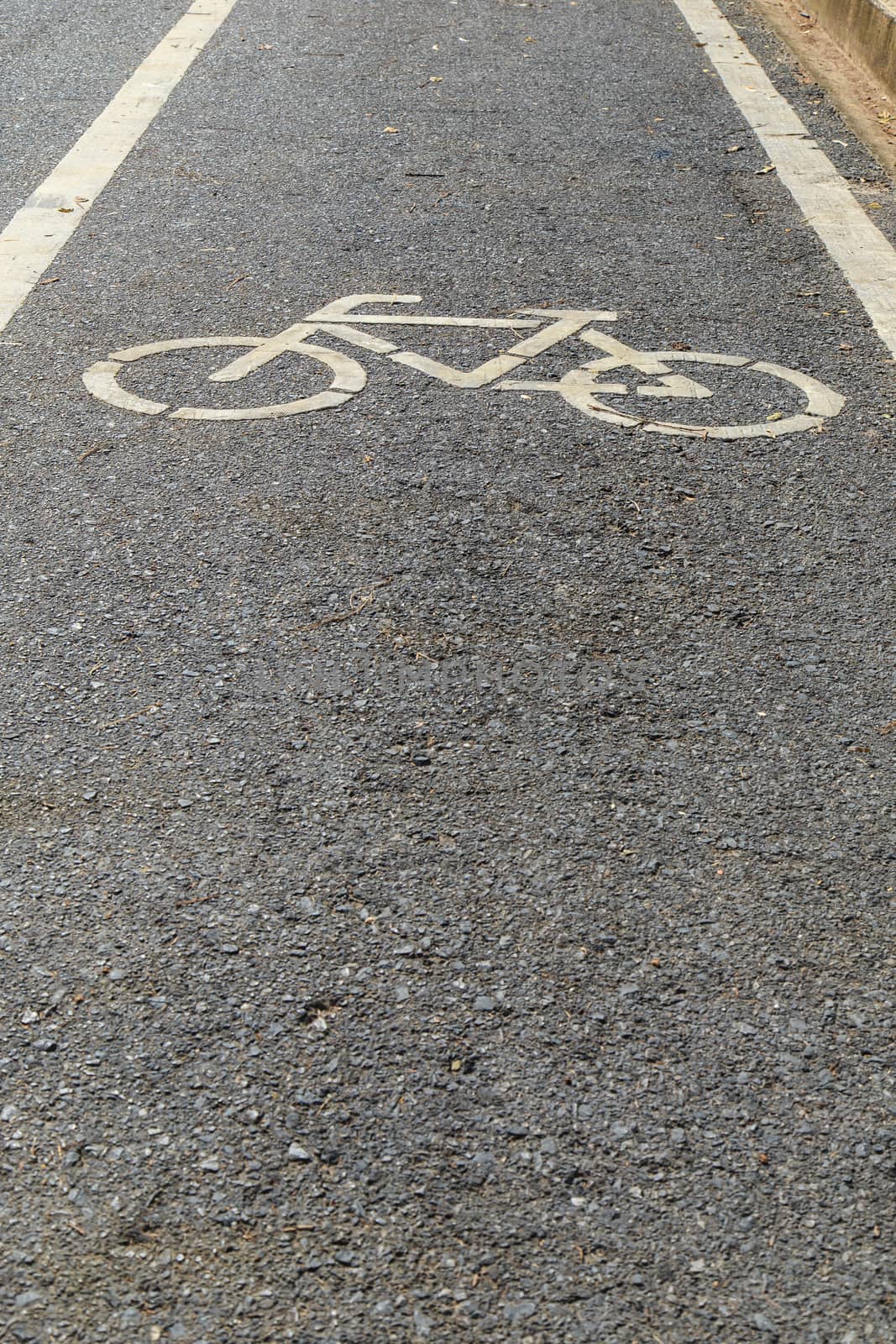 Bicycle sign or icon on the road in the park by nanDphanuwat