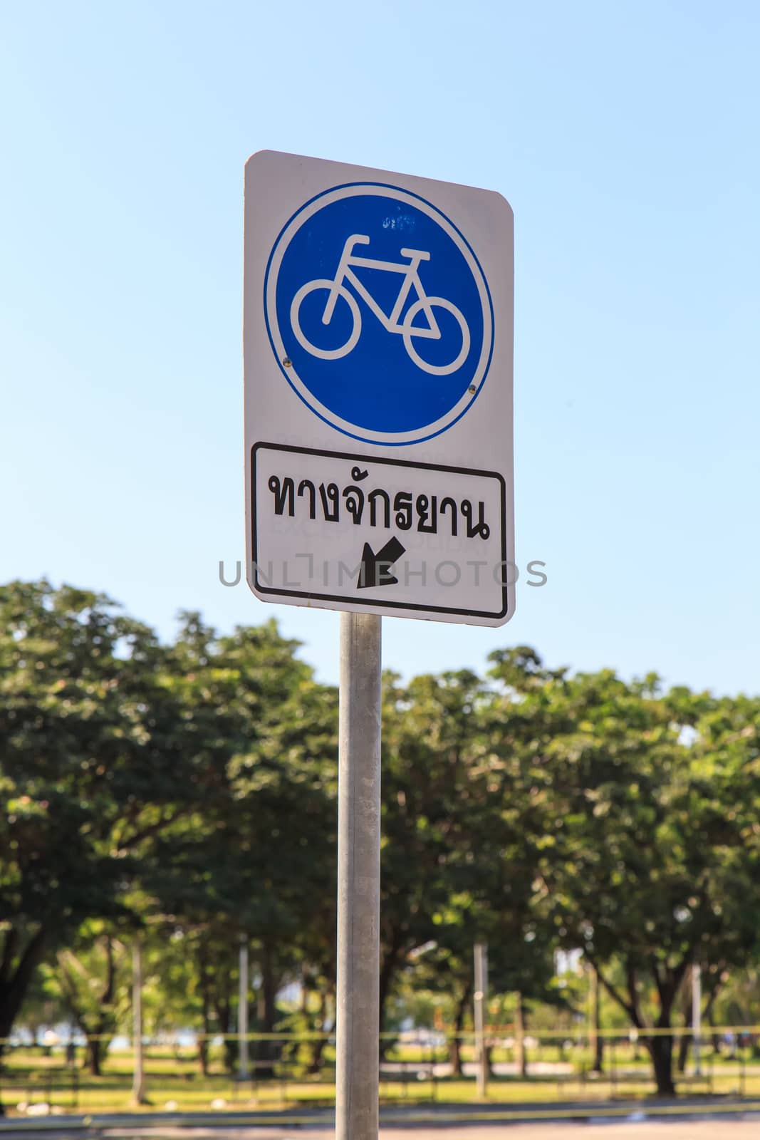 Bicycle sign or icon on the road in the park by nanDphanuwat