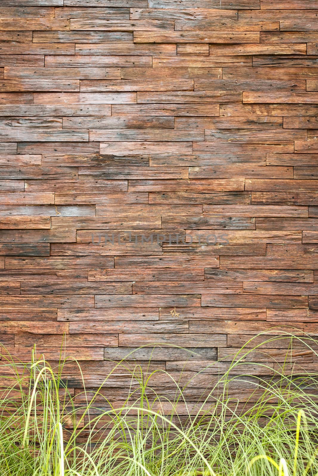 Wooden wall texture and background