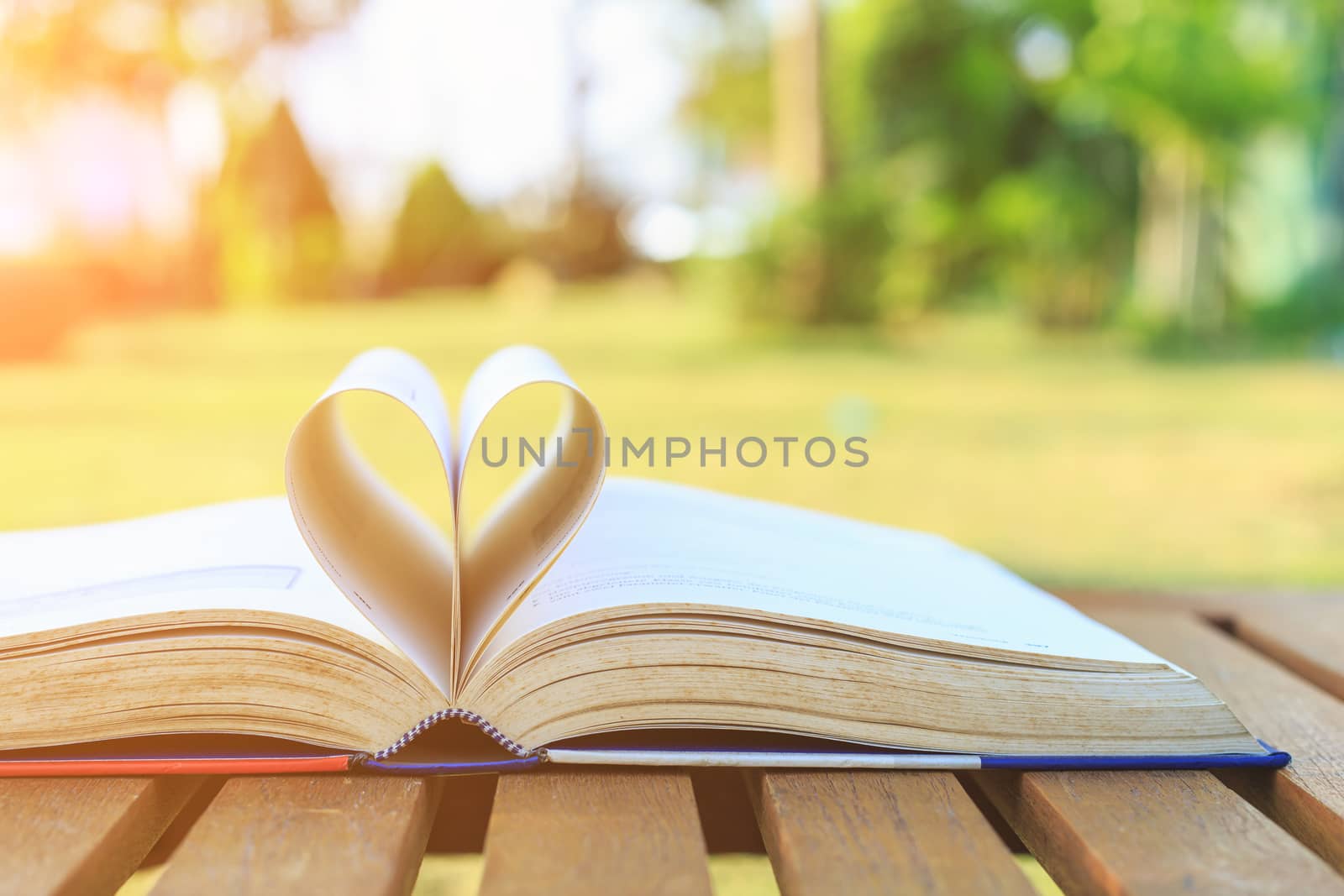 Close up book on table in morning time