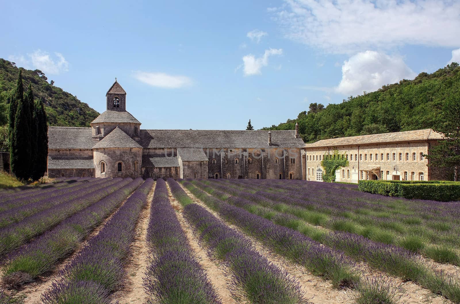 Stone abbey with lavender field in the backyard by Mag6619