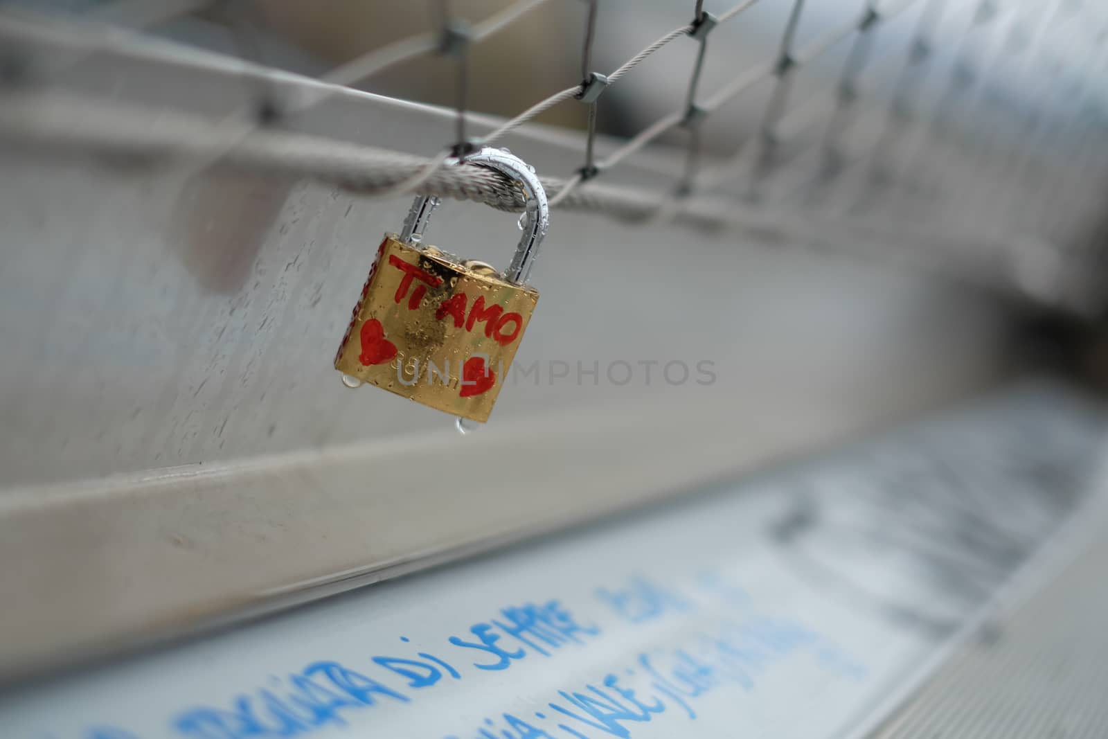 Padlock locked to grid says I love you by Mag6619