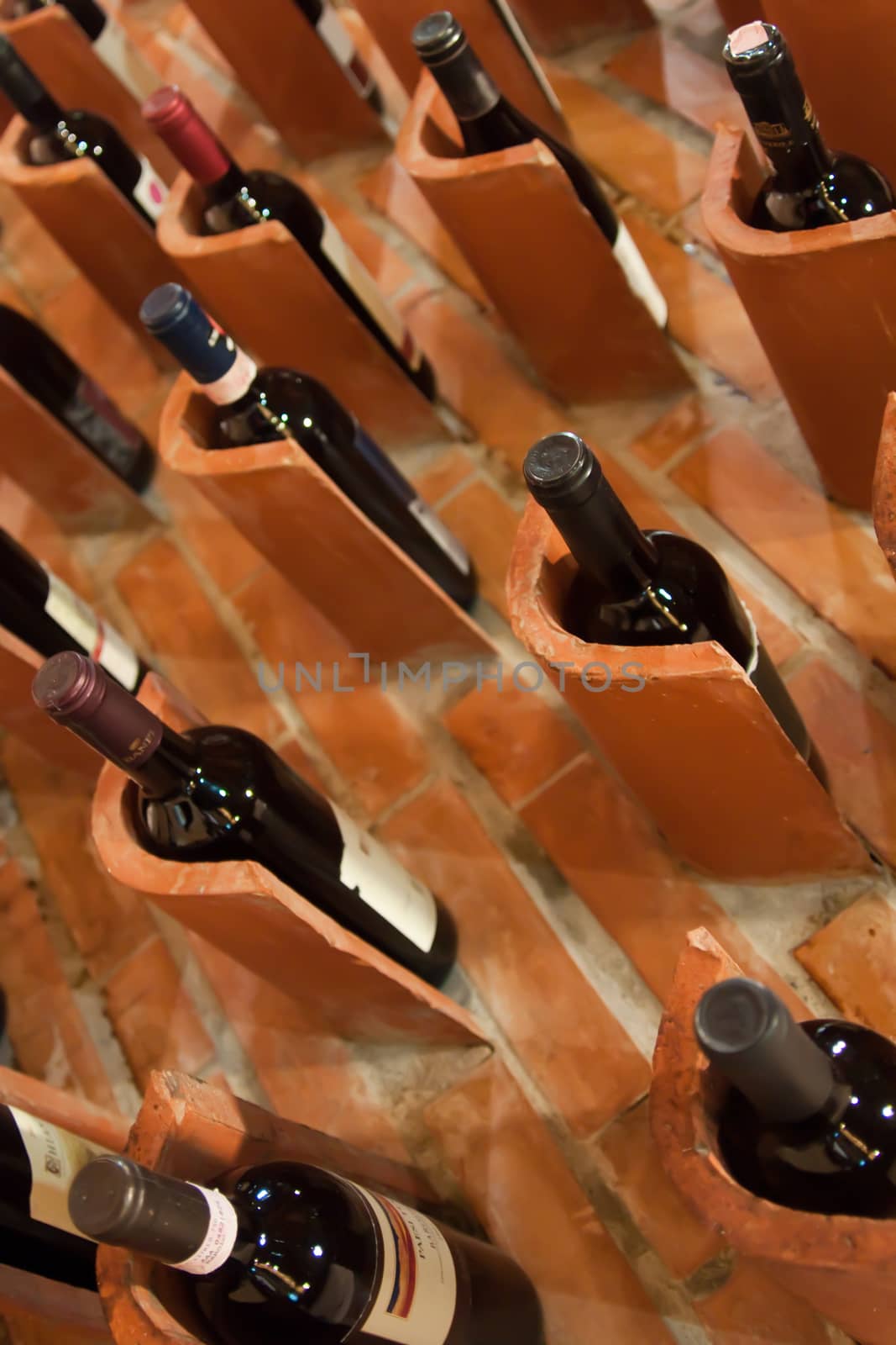 Fine red wines rest in their pits at Italian winery