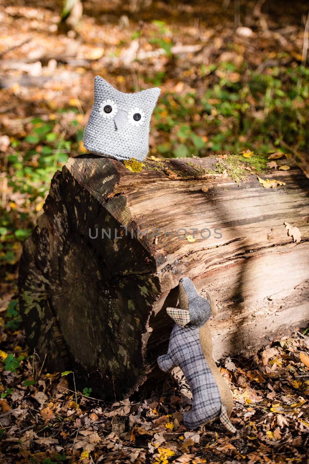 A handmade soft toy dog is chasing an handmade owl sitting on a cut tree in an autumn forest
