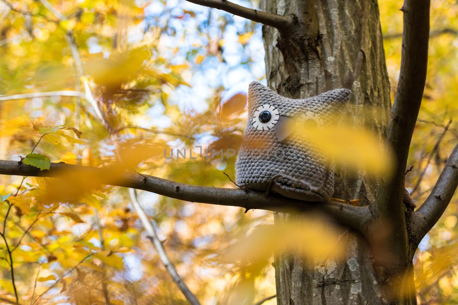 Soft toy owl is placed in autumn forest by franky242