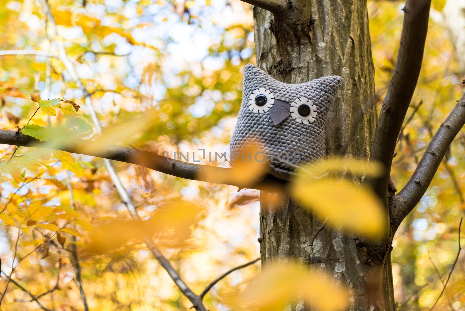 A handmade soft toy owl is placed on a tree in an autumn forest
