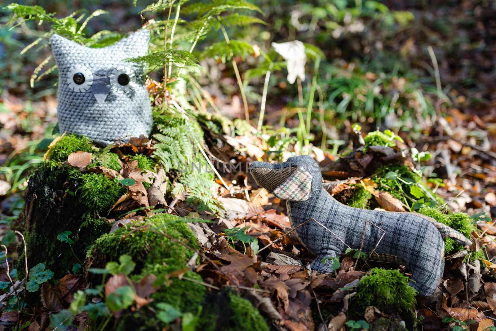 A handmade soft toy dog is chasing an handmade owl sitting on a tree trunk in an autumn forest