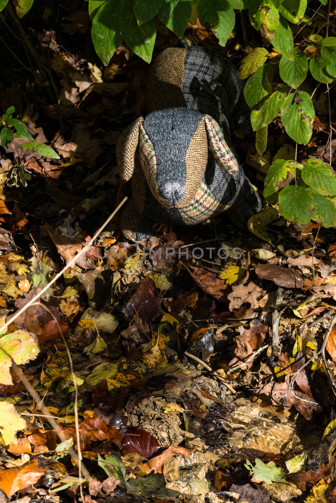 A handmade soft toy dog is placed in an autumn forest next to a small ditch