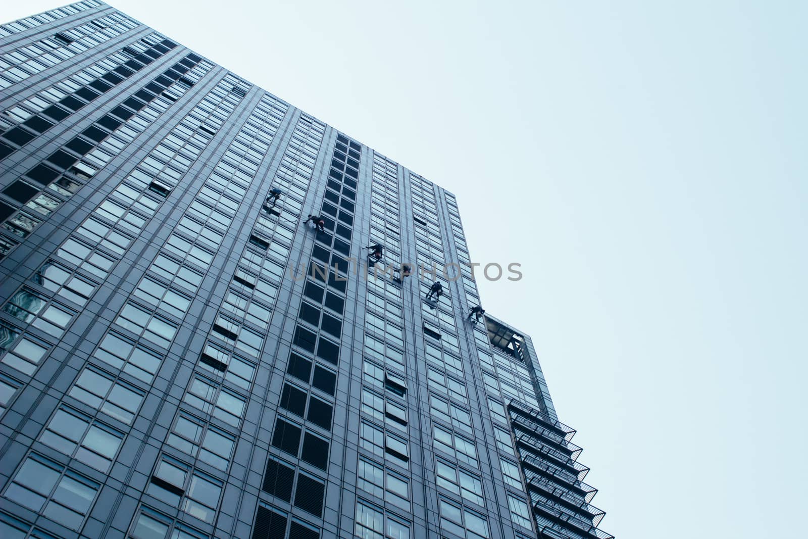 Group of Cleaners are cleaning windows of a office building