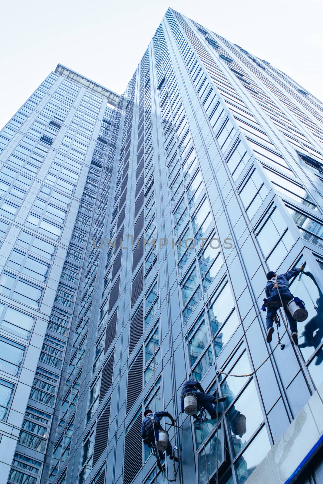 Group of Cleaners are cleaning windows of a office building
