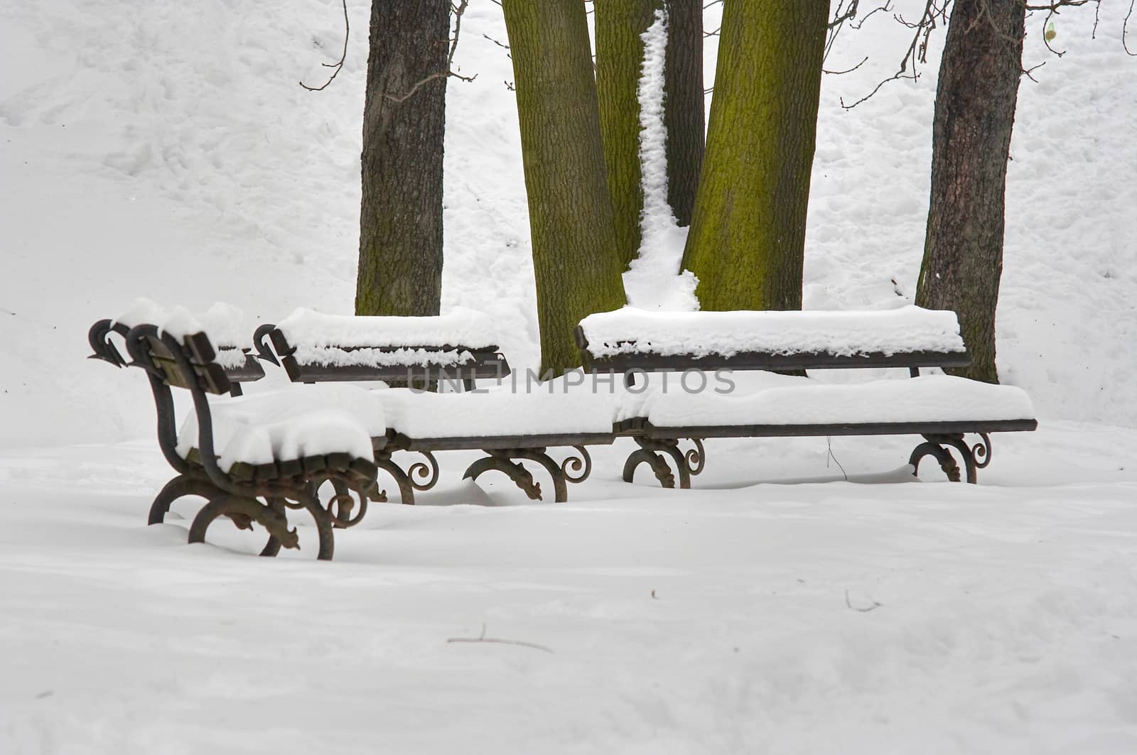 Image of the snowy abandoned benches