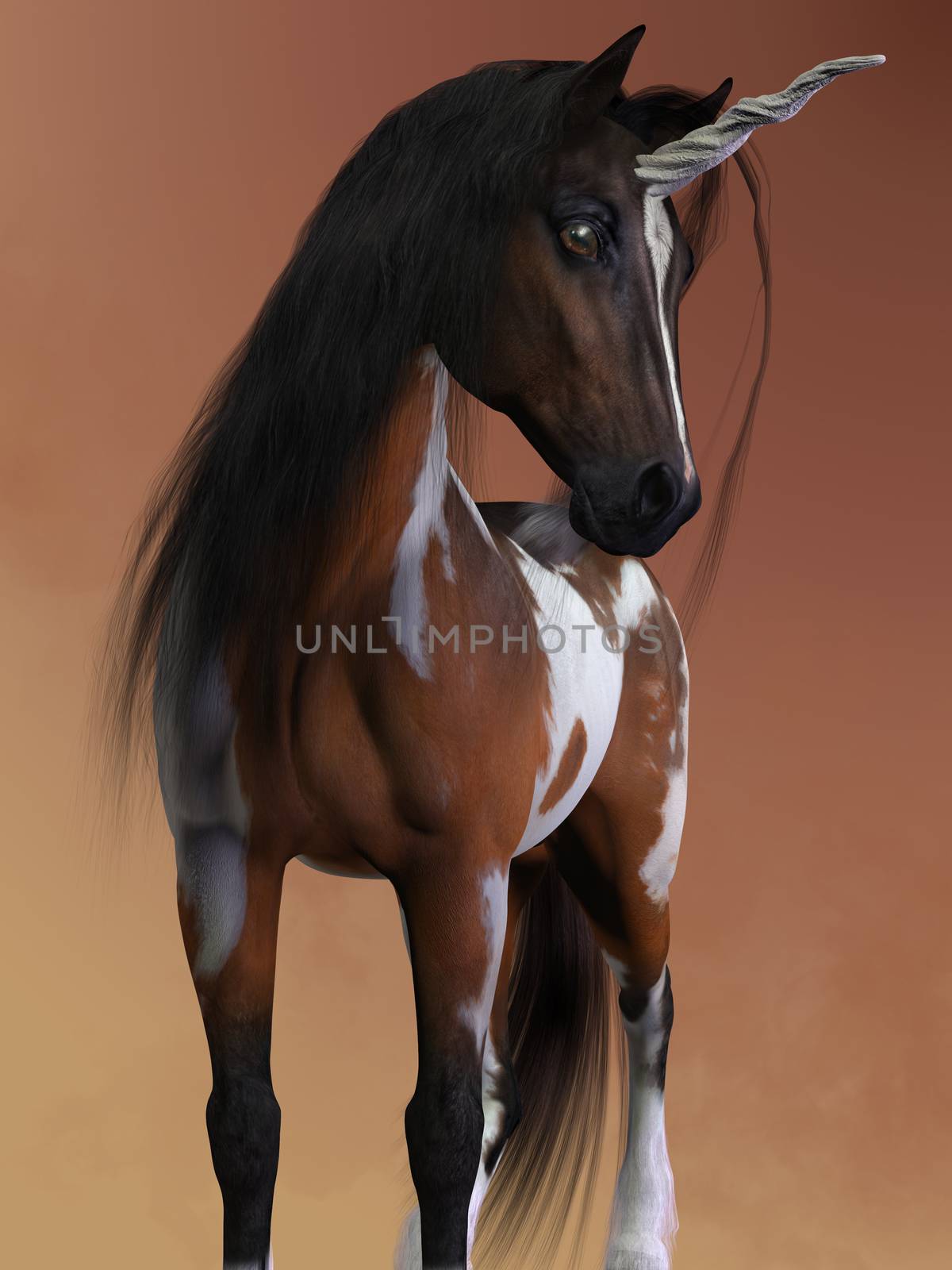 A bay pinto unicorn has the small body and fine features of the Arabian horse breed.