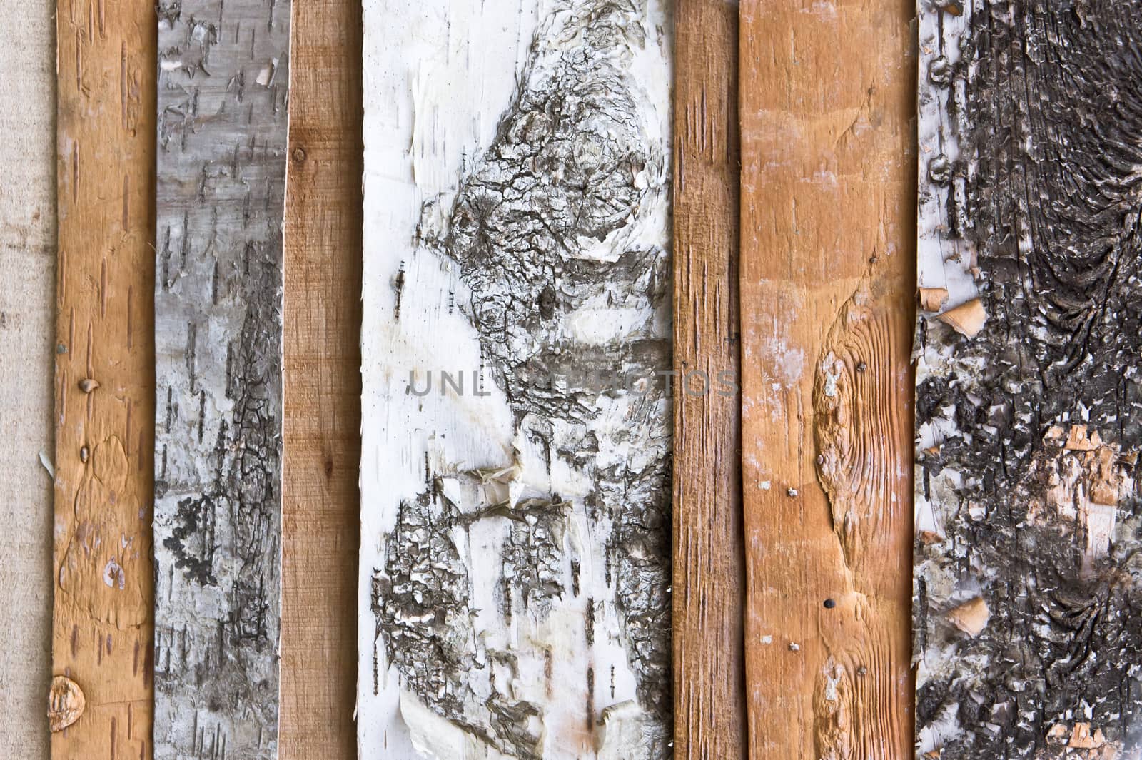 Old weathered wood panels as a background image