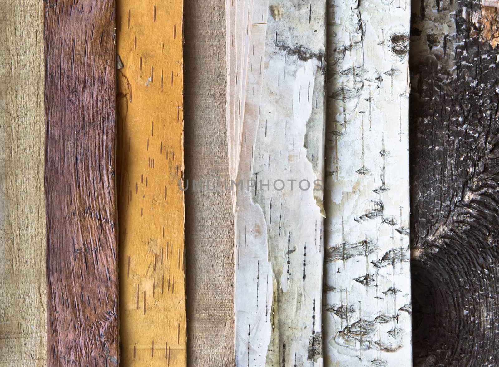 Old weathered wood panels as a background image