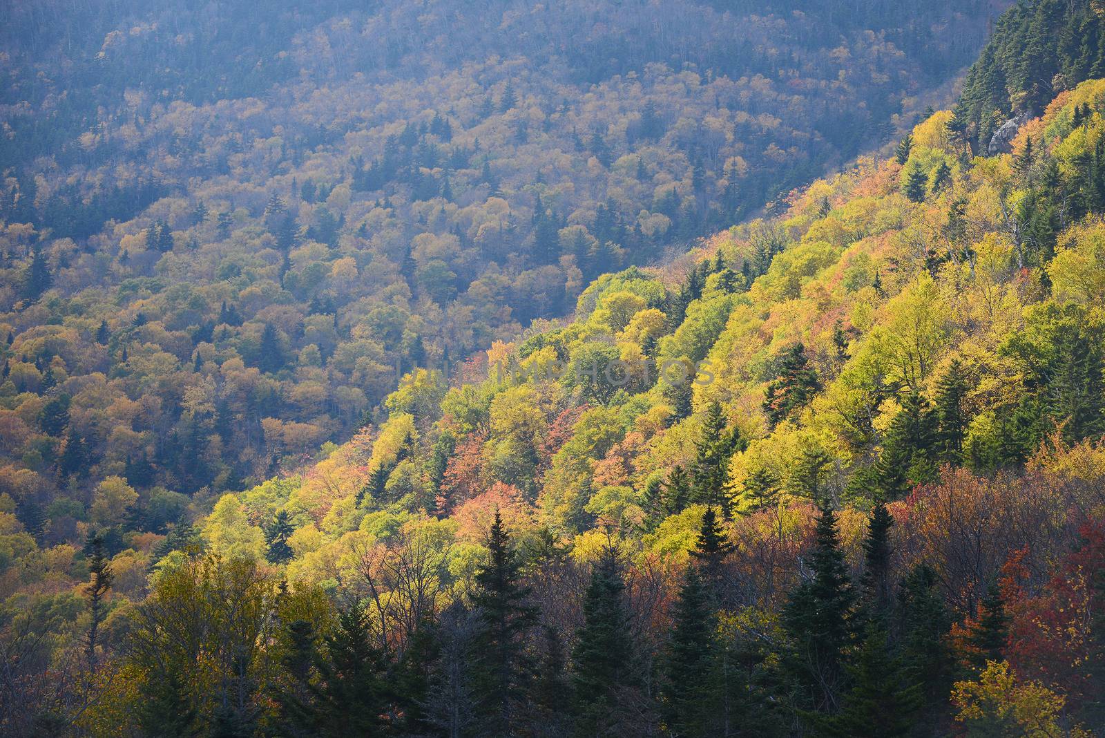 trees in vermont are changing color in autumn