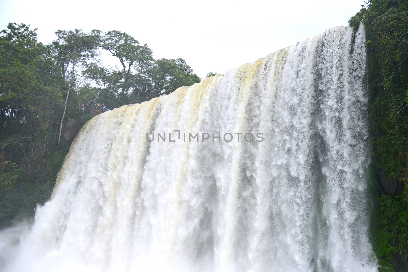 Iguazu waterfall in south americal tropical jungle with a massive flow of water