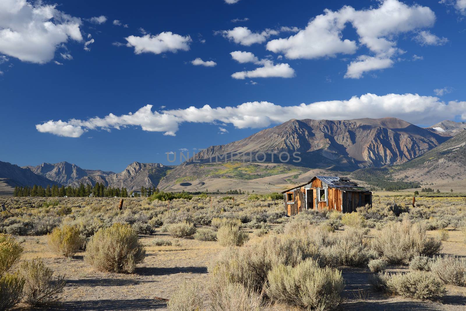 abandoned house near June lake in eastern sierra