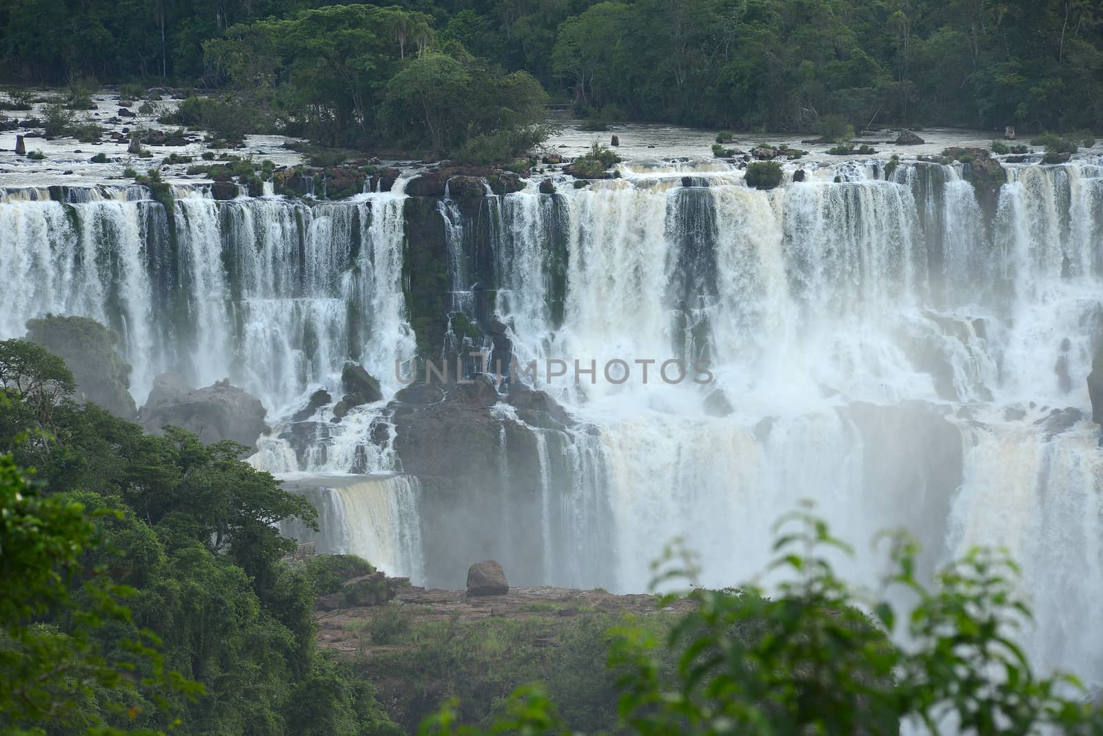 Iguazu waterfall in south americal tropical jungle with a massive flow of water