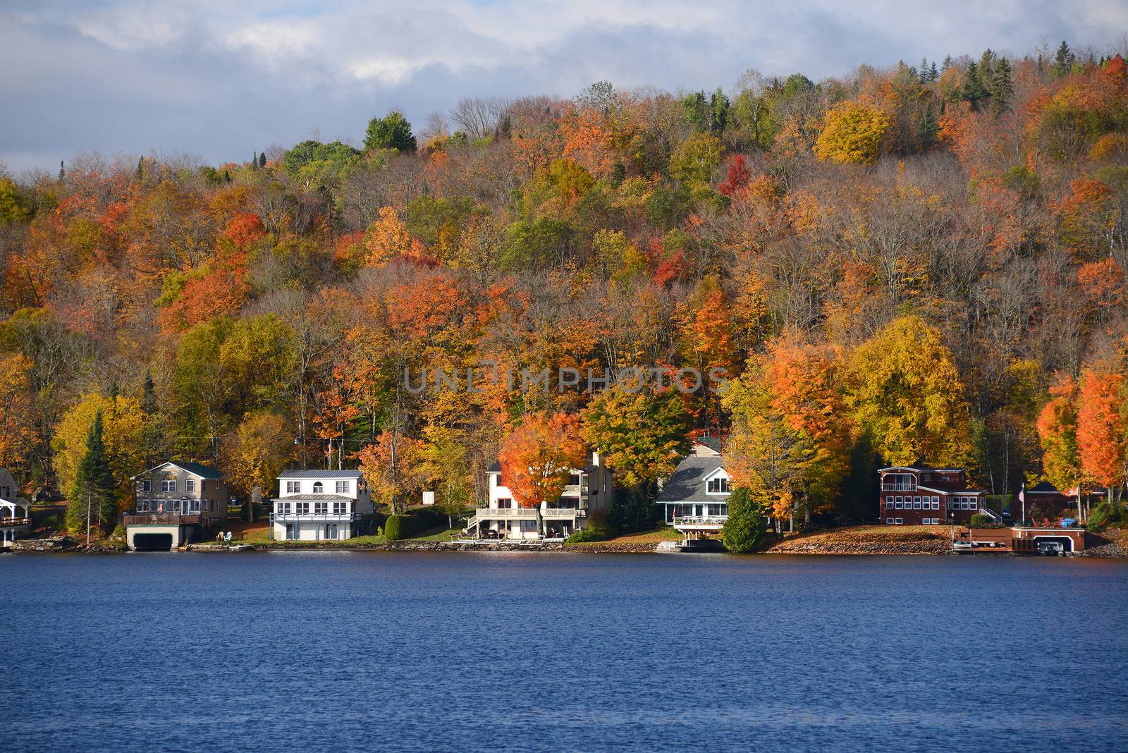 colorful autumn foliage by lake side in vermont