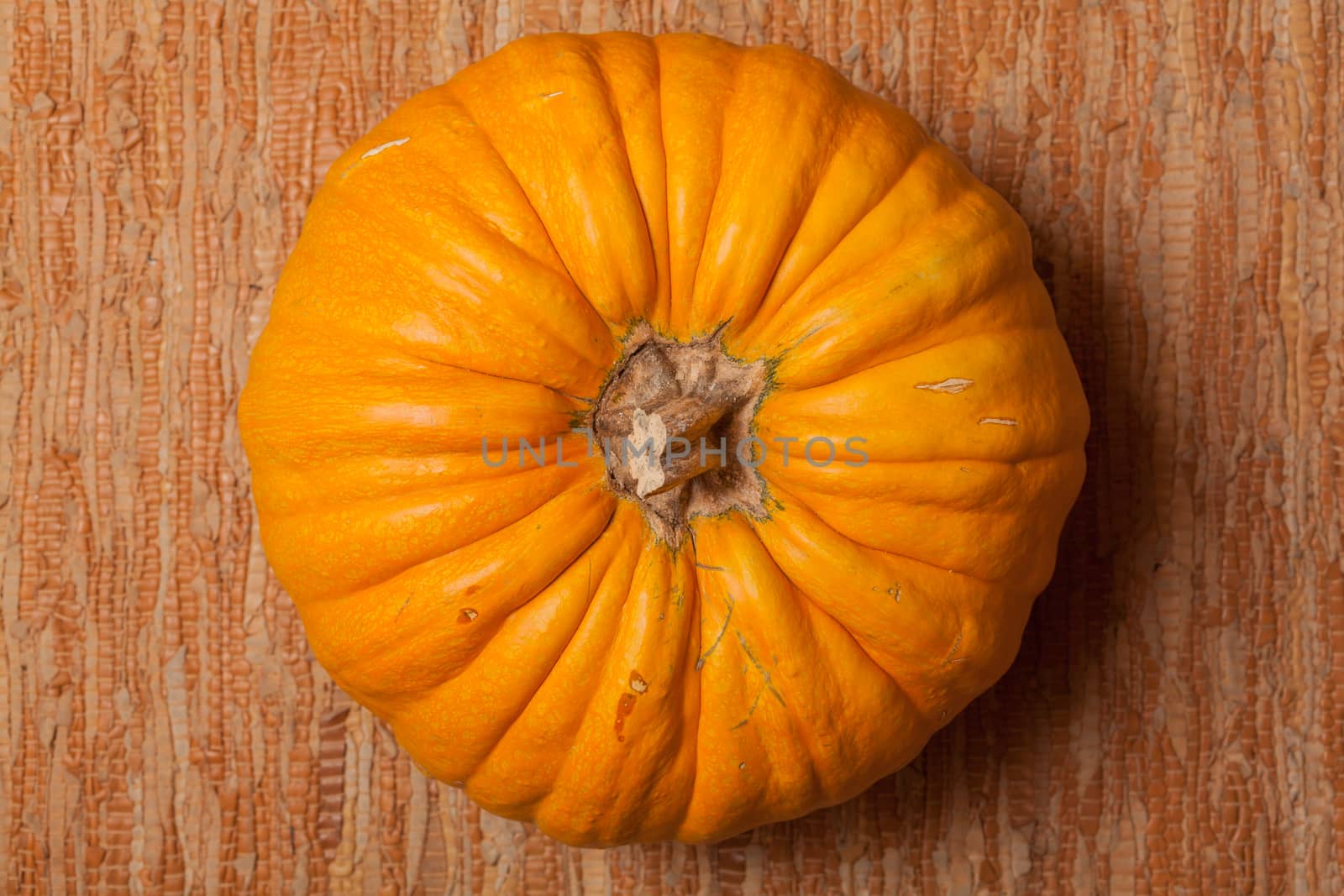 Autumn pumpkin leather surface. Beautiful autumn Pumpkin thanksgiving background