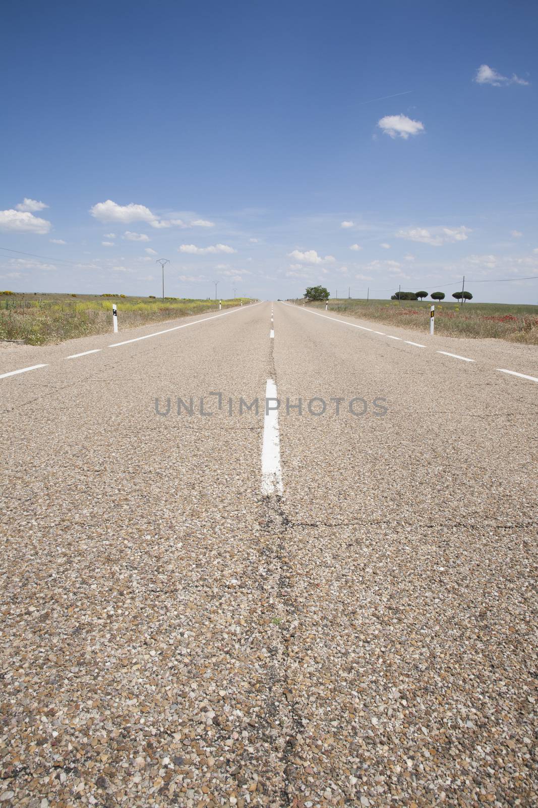 road, roadway, traffic, travel, asphalt, transport, transportation, Spain, horizon, freedom, journey, freeway, destination, route, cloud, blue, roadside, direction, white, straight, Europe, grey, drive, verge, sky, driving, way, country, rural, countryside, outdoor, outside, landscape, nobody, green, line, lane, scene, nature, land, narrow