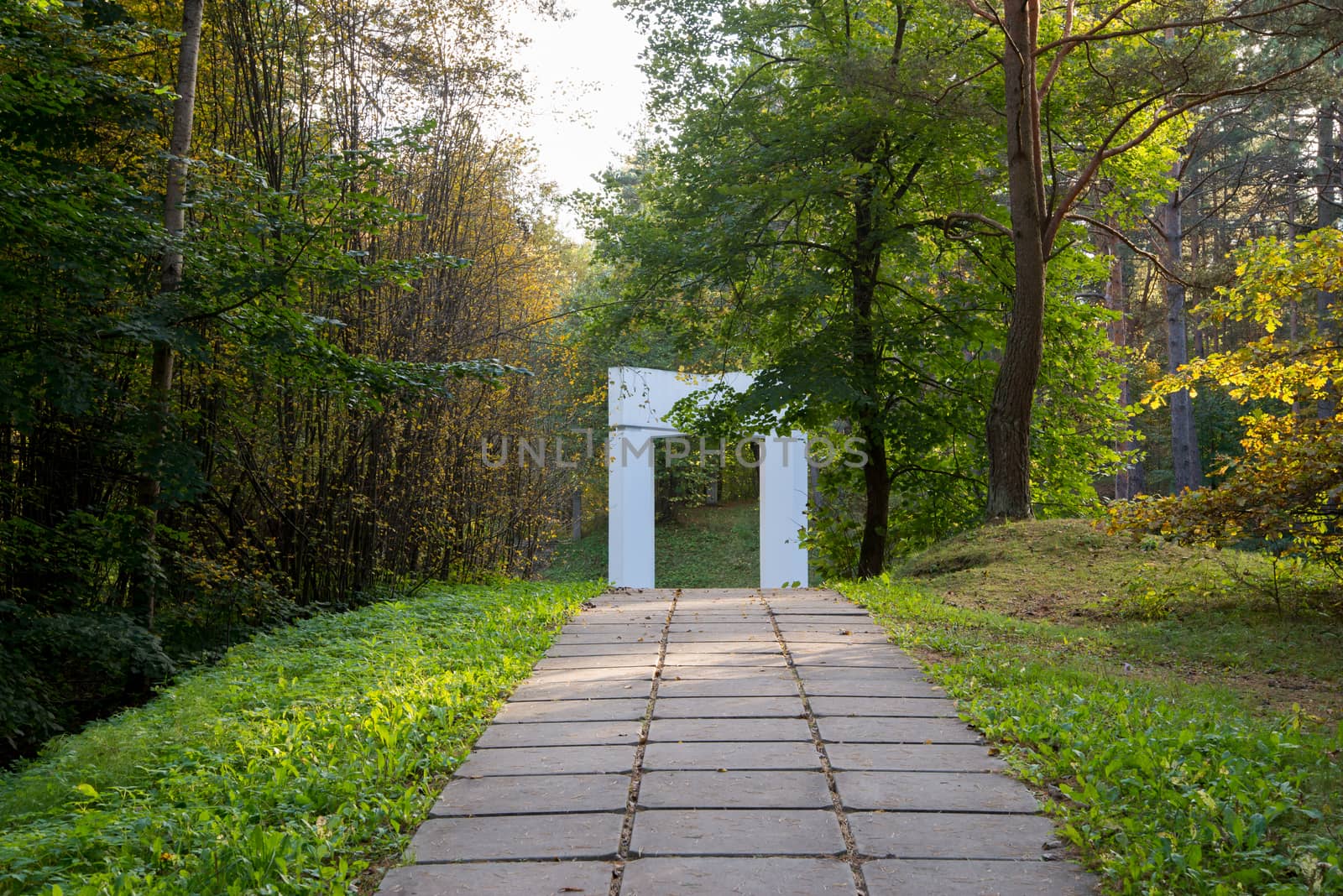 Photo of arc passage in the forest. Nature photography.